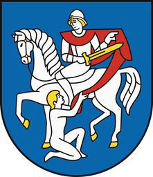 Mesto Martin